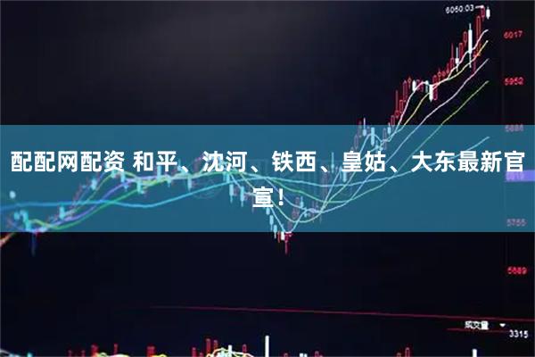 配配网配资 和平、沈河、铁西、皇姑、大东最新官宣！
