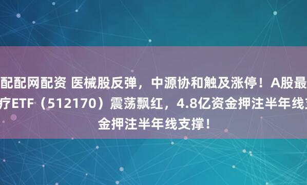 配配网配资 医械股反弹，中源协和触及涨停！A股最大医疗ETF（512170）震荡飘红，4.8亿资金押注半年线支撑！