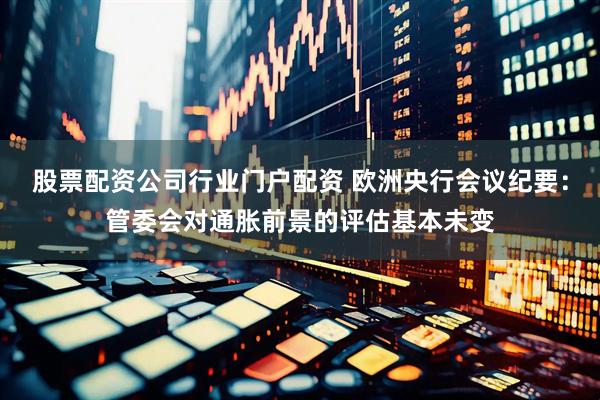 股票配资公司行业门户配资 欧洲央行会议纪要：管委会对通胀前景的评估基本未变