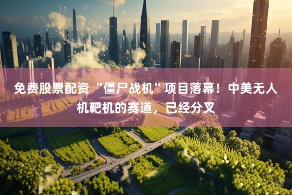 免费股票配资 “僵尸战机”项目落幕！中美无人机靶机的赛道，已经分叉