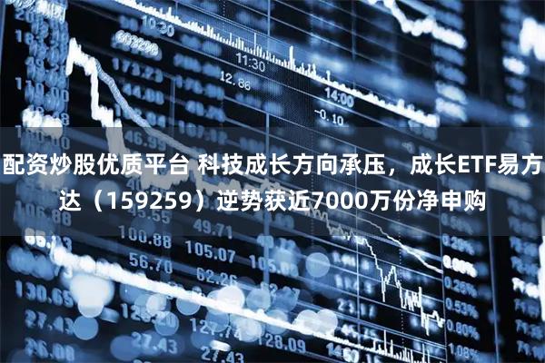 配资炒股优质平台 科技成长方向承压，成长ETF易方达（159259）逆势获近7000万份净申购